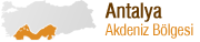 Ankara